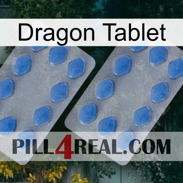 Dragon Tablet 20.jpg